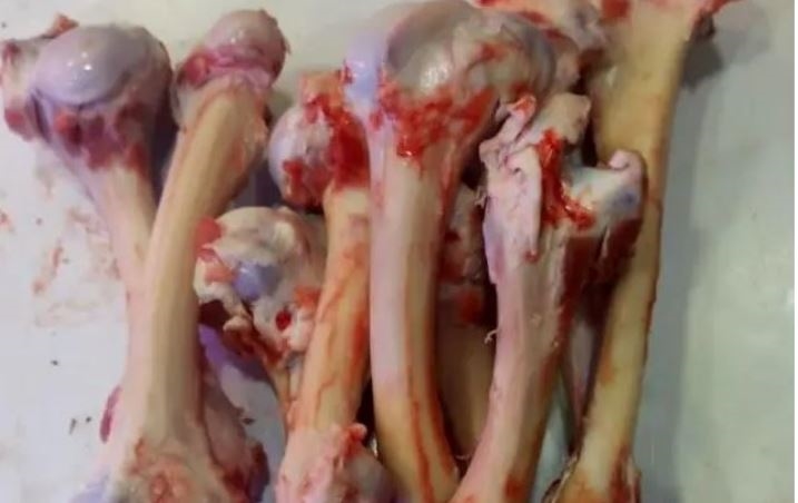 Eskiden kasaplar isteyene ücretsiz veriyordu! Şimdi kilosu 20-25 liradan satılıyor