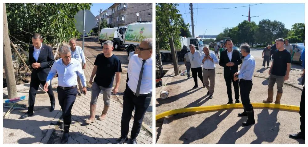 Vali Çelik