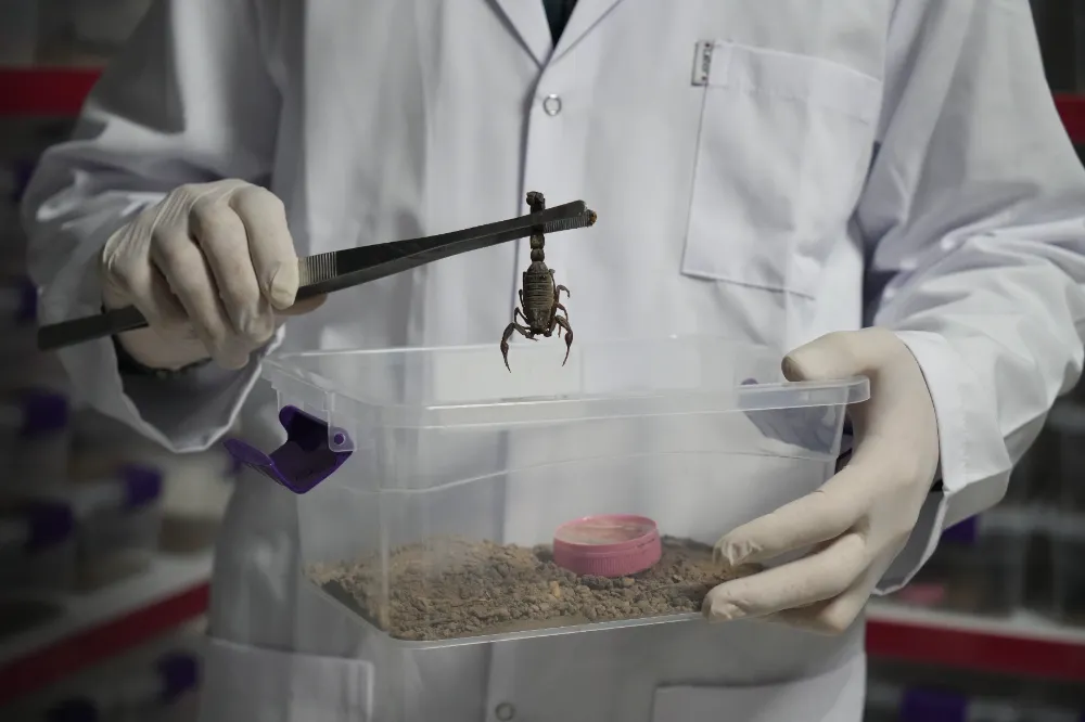 Niğde’den dünyaya 