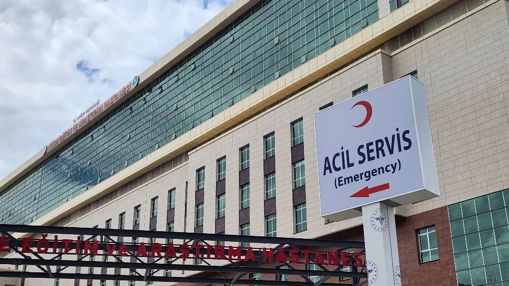 Ispanak sandıkları ot, 