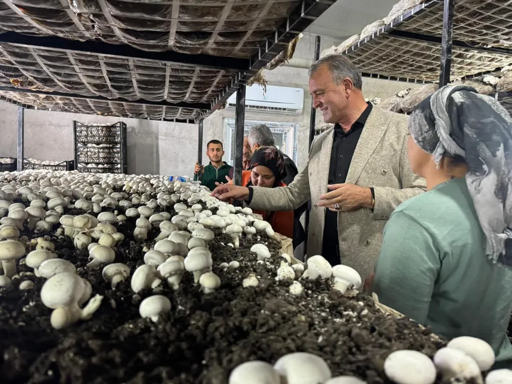 ALTUNHİSAR’DA ÜRETİM ATAĞI DEVAM EDİYOR 