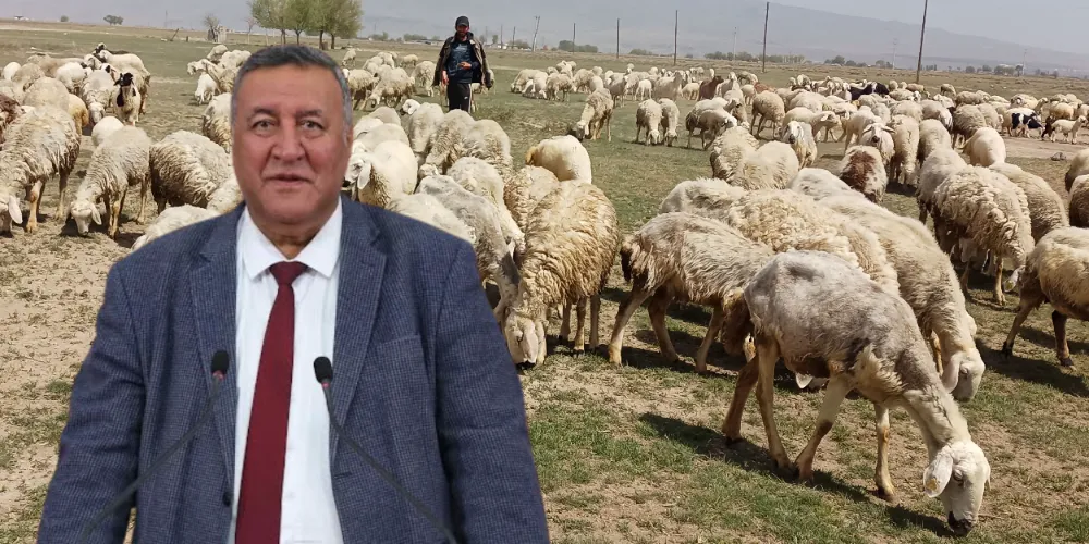 CHP Milletvekili Gürer