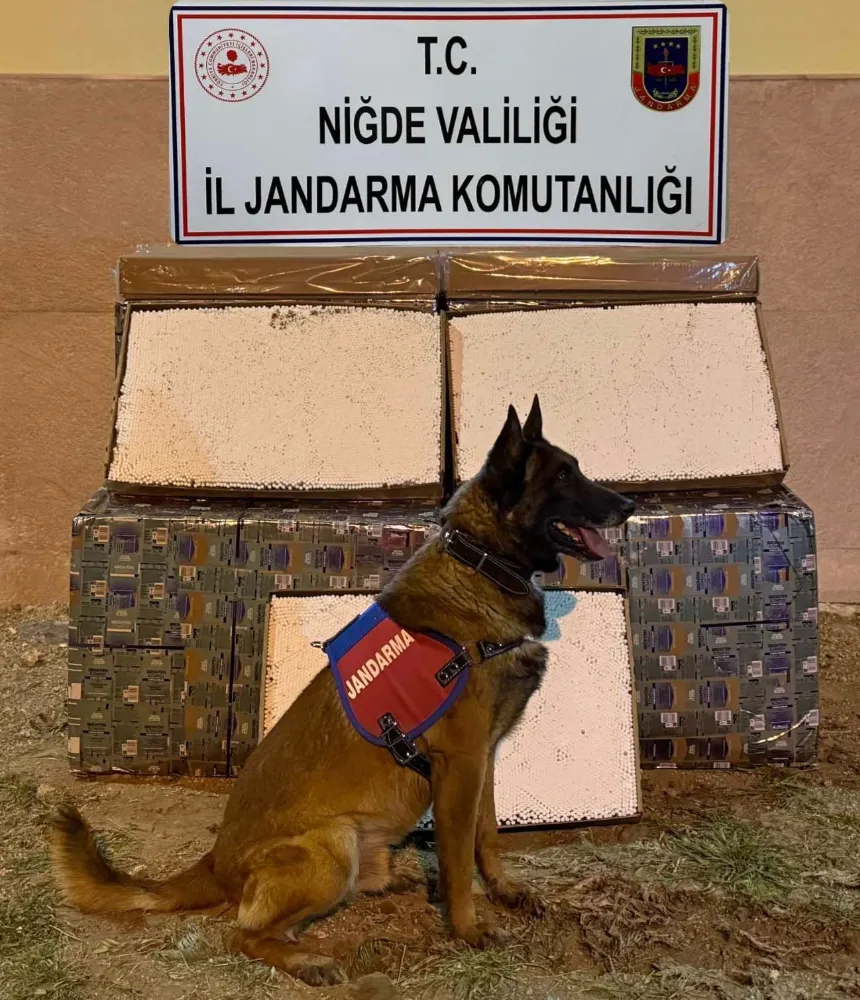 175 Bin Tütün Dolu Makaron Ele Geçirildi