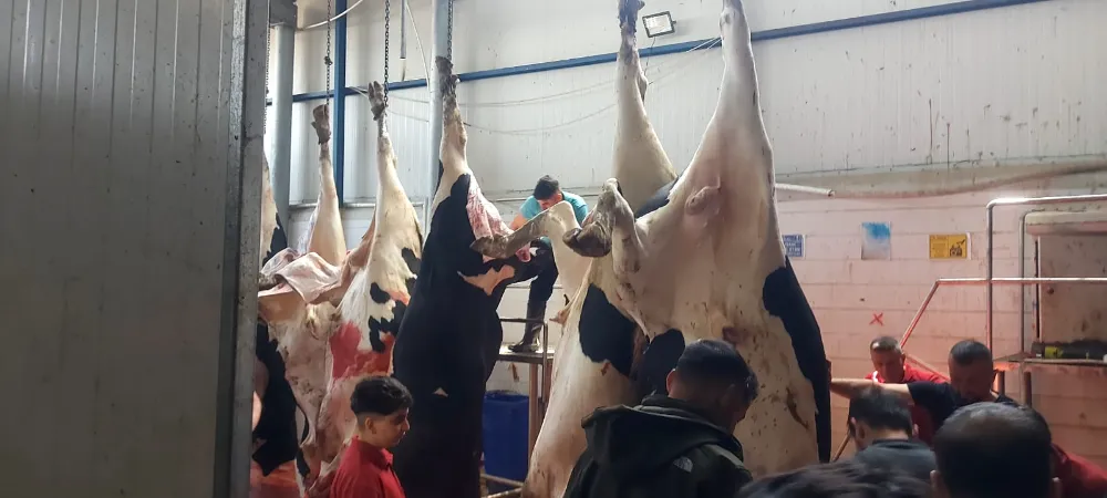 Kurban Kesim Kursunda Eğitimler Başladı 
