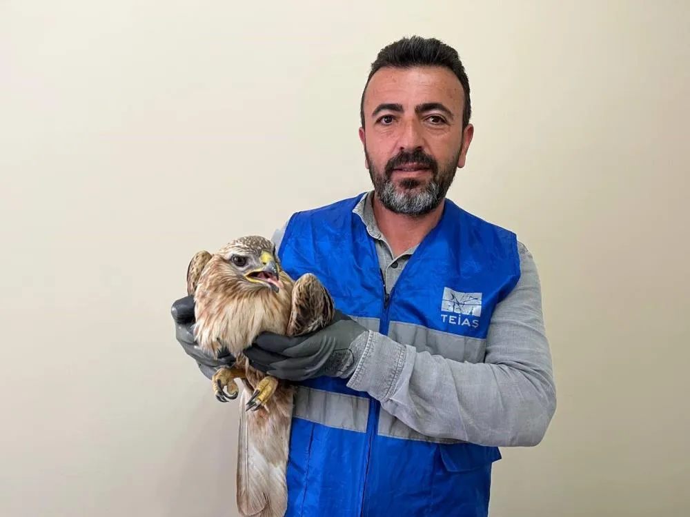 Niğde