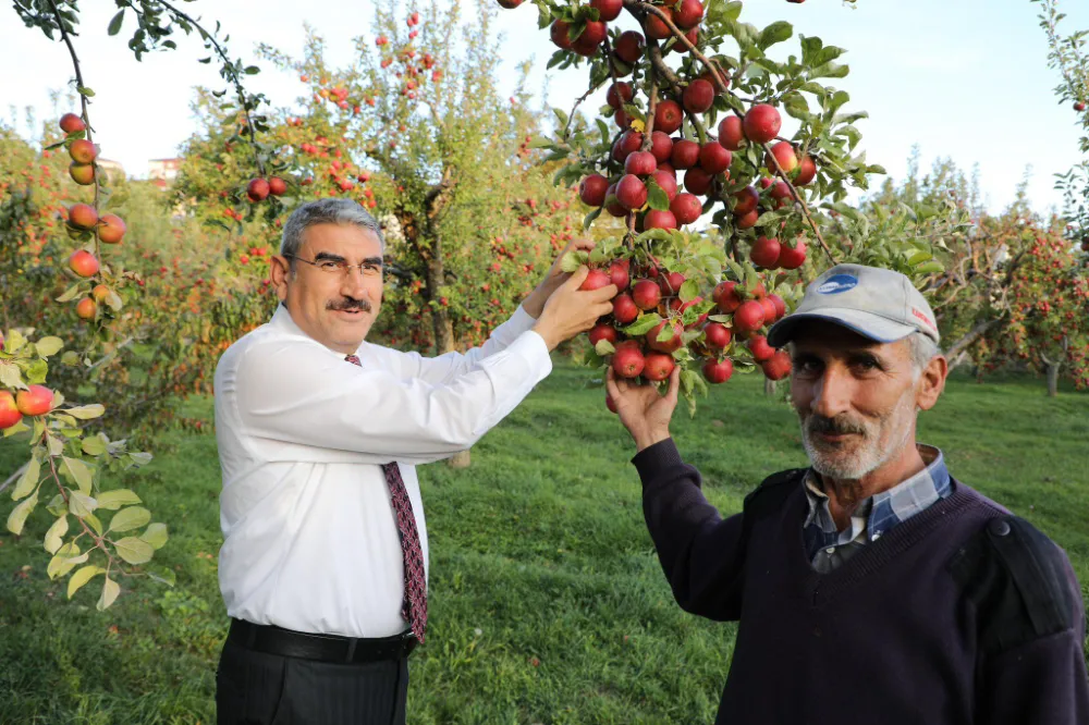 Niğde Tarım ve Hayvancılıkta Yükselişte: Milyonluk Yatırımlar Çiftçinin Yüzünü Güldürüyor