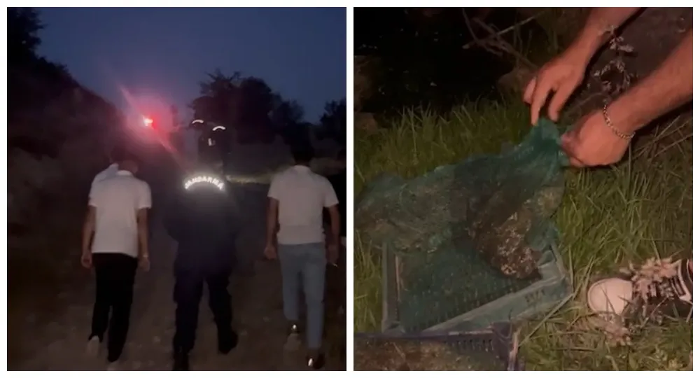 Niğde’de kurbağa kaçakçıları yakalandı: 133 kilo canlı kurbağa ele geçirildi