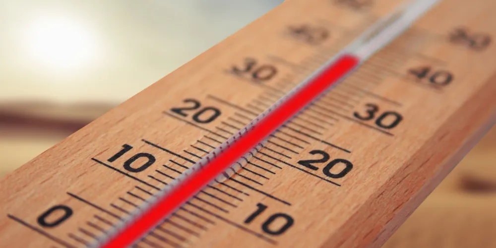 Niğde Kavurucu Sıcaklarla Boğuşuyor: Termometreler 38 Dereceyi Görecek!