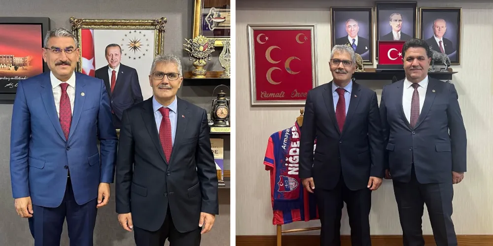 Vali Çelik