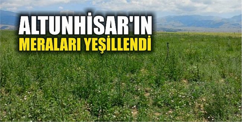 Altunhisar’ın Meraları Yeşillendi